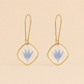 Pine Earrings